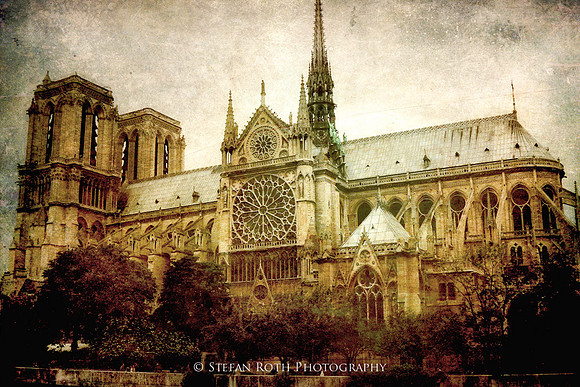 Notre Dame #2 - Stefan Roth