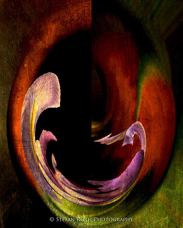 Abstract Untitled - Stefan Roth