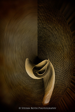 Photo-Stefan Roth